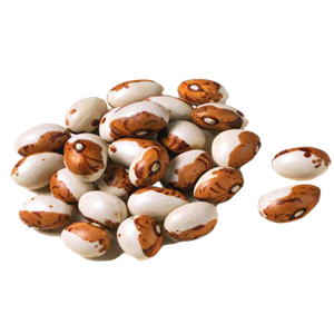 Kidney beans PNG-56918